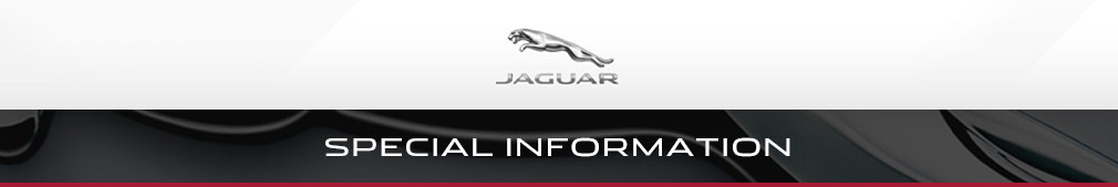 SPECIAL INFORMATION